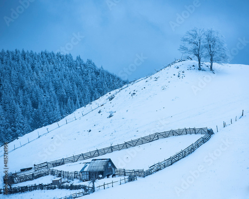Bran Castle covered in snow in winter, Transylvania, Romania
