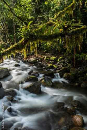 Savegre River (Rio Savegre), San Gerardo de Dota, San Jose Province, Costa Rica