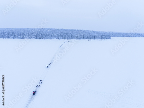 Aerial of Husky dog sledding on a frozen snow covered lake into a winter forest landscape and trees in the Lapland landscape in a forest in Finland drone