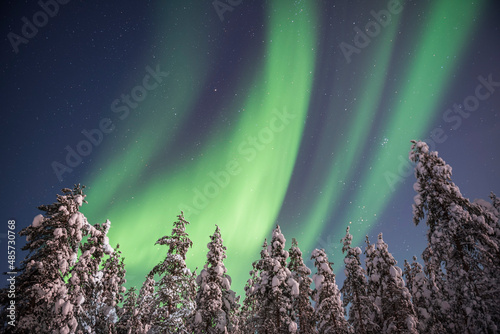 Northern Lights (aurora borealis) display over snow covered trees in a forest in winter in Finnish Lapland, inside Arctic Circle in Finland