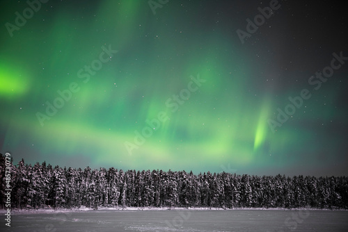 Amazing bright green Northern Lights display (Aurora Borealis) over trees in a forest in the beautiful, colourful night sky, Pallas-Yllästunturi National Park, Lapland, Finland, Arctic Circle photo