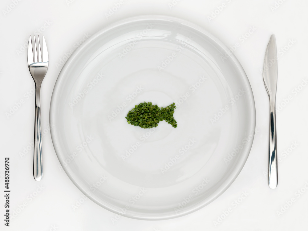 plate fish plate fish