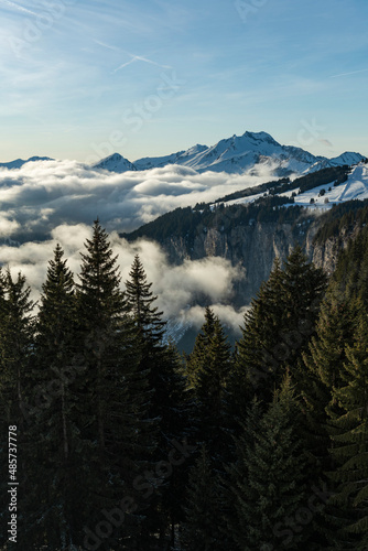 Beautiful snowcapped mountains and forest landscape with blue sky at the ski resort of Morzine in the Alps Mountain Range of France  Europe