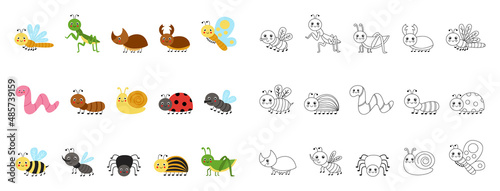Set of cute colorful insects on white background. black and white version.