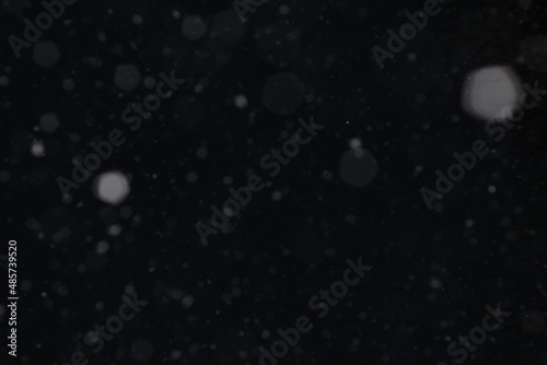 Snow on a black background. Snowflakes for overlay. Snow background. © alexkich