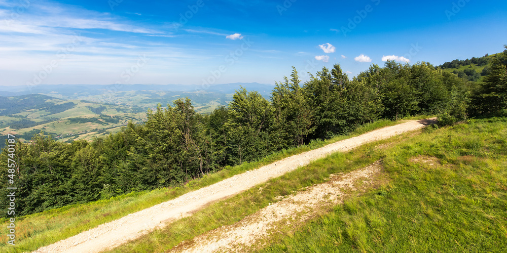 forested hills of carpathian mountains. beautiful nature scenery in afternoon light. panoramic view in to the distant rural valley. sunny weather with clouds on the sky