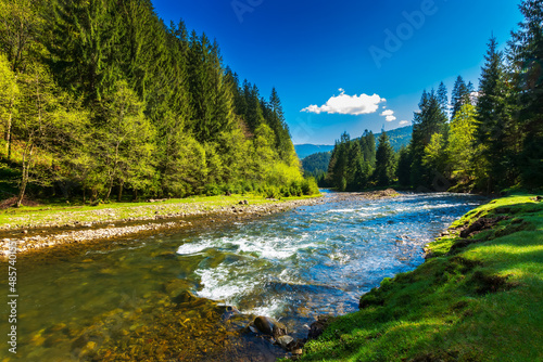 mountain river in spring. rapid water flow through forested valley. beautiful nature scenery with grassy shore. sunny weather with fluffy clouds on the sky in morning light photo