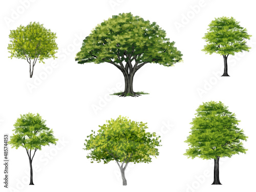 Collection of vector watercolor green tree side view isolated on white background  for landscape and architecture layout drawing  elements for environment and garden