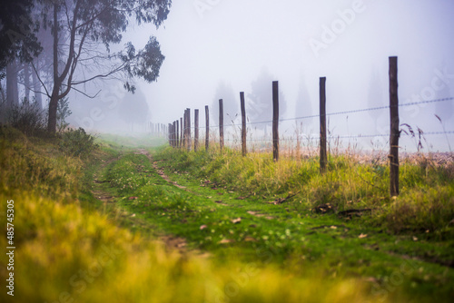 Misty path at Hacienda Zuleta, Imbabura, Ecuador, South America photo