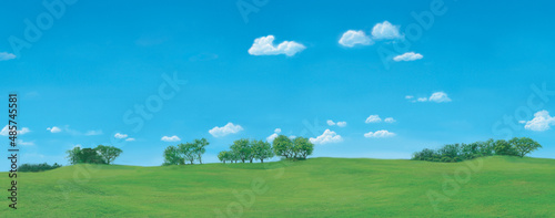 Green lawn with big trees and white cloud blue sky 