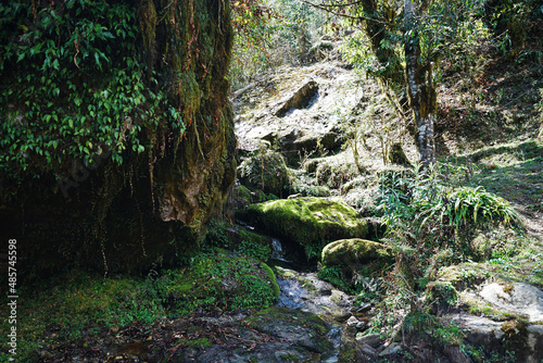 Natural landscape of rocky waterfall among green rainforest park