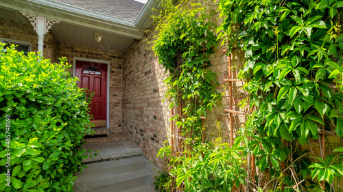 Panorama Plants at the front of the entrance of a house with bricks