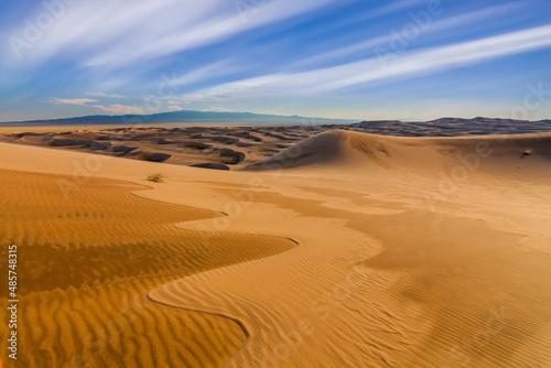 Beautiful views of the desert landscape. Gobi Desert. Mongolia