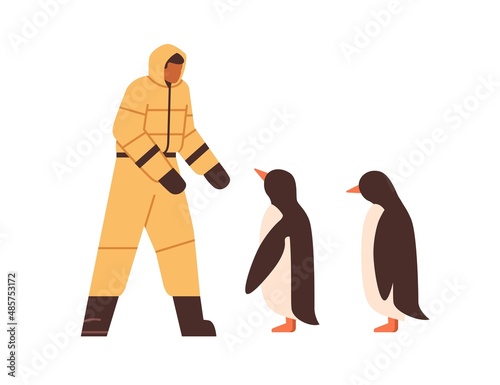 Man meeting Arctic penguins. Bird keeper at South pole, Antarctica. Polar antarctic scientist zoologist studying animals. Flat vector illustration isolated on white background