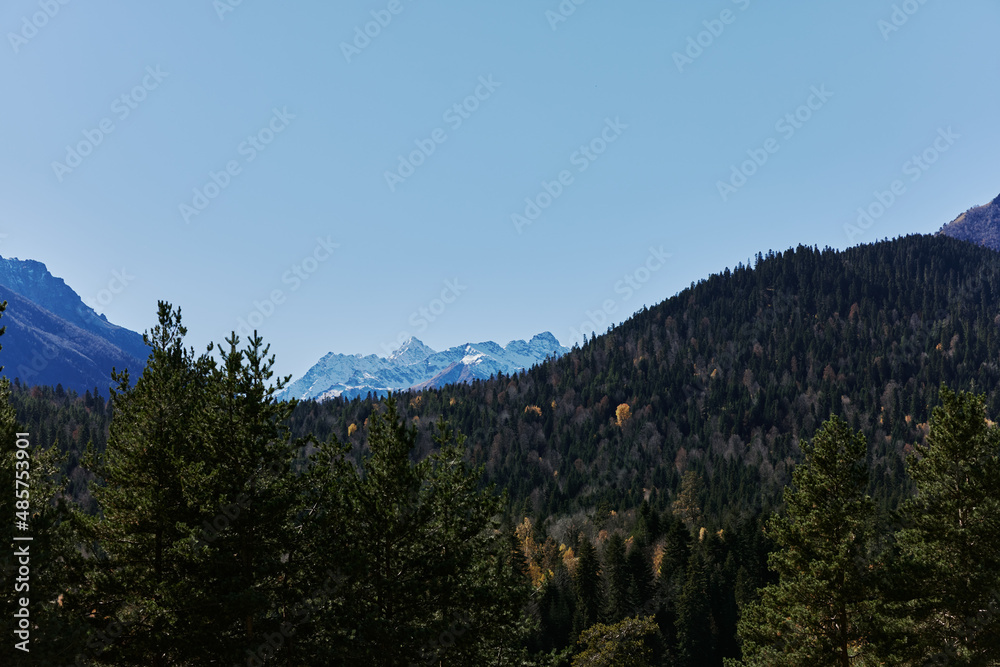 Obraz premium mountain forest beautiful view of nature travel park peak