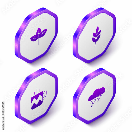 Set Isometric Leaf, Cup of tea and Cloud and lightning icon. Purple hexagon button. Vector