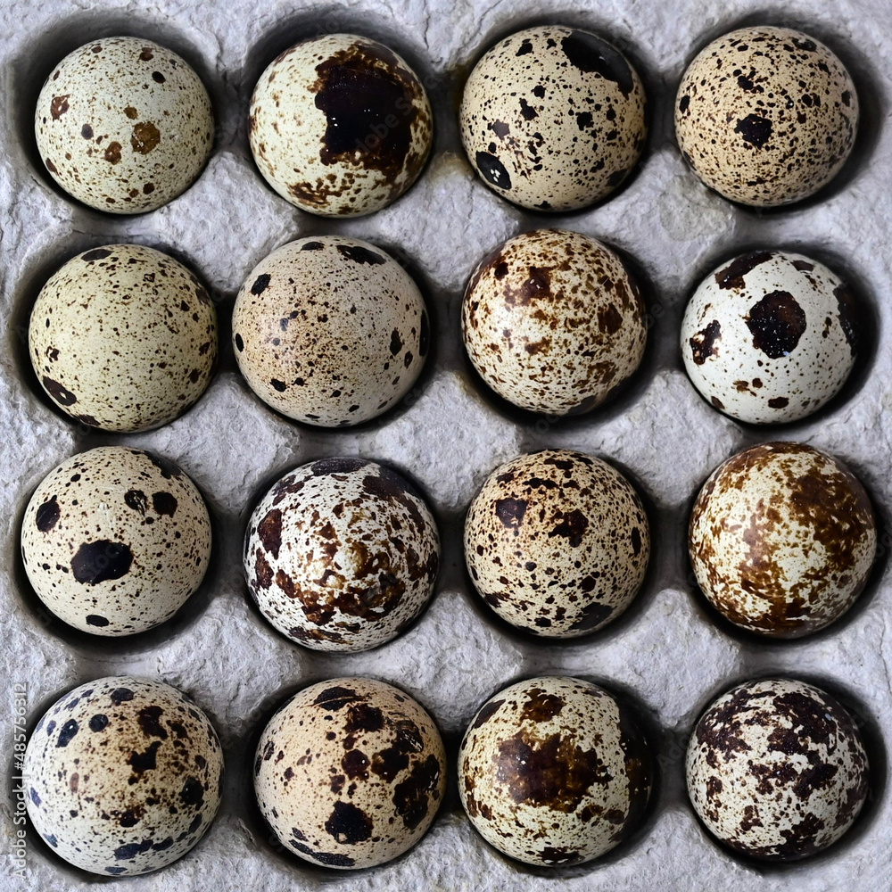 quail eggs in cardboard packaging on wooden background. The idea of healthy breakfast, symbol of Easter. Close-up. Top view