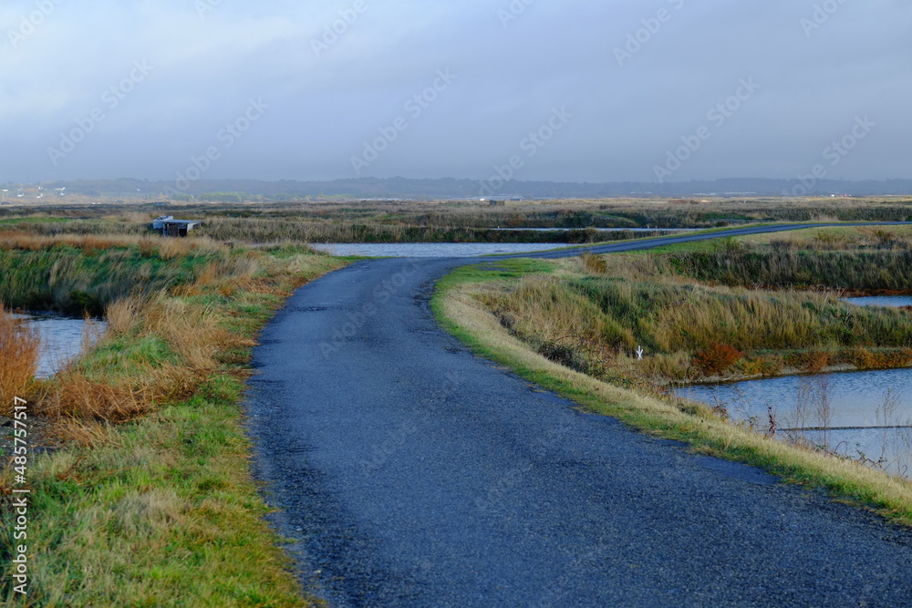 A road in the salt marshes. The 6th December 2021, Guérande, France.