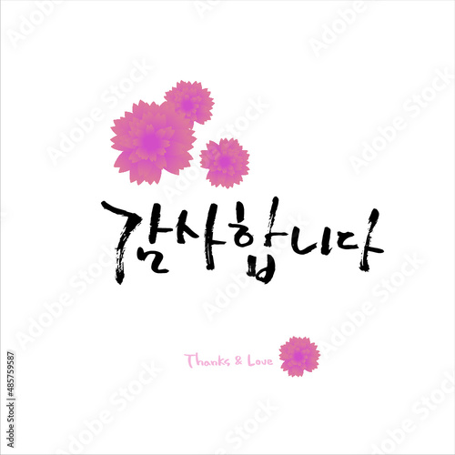 카네이션_감사합니다_캘리그라피