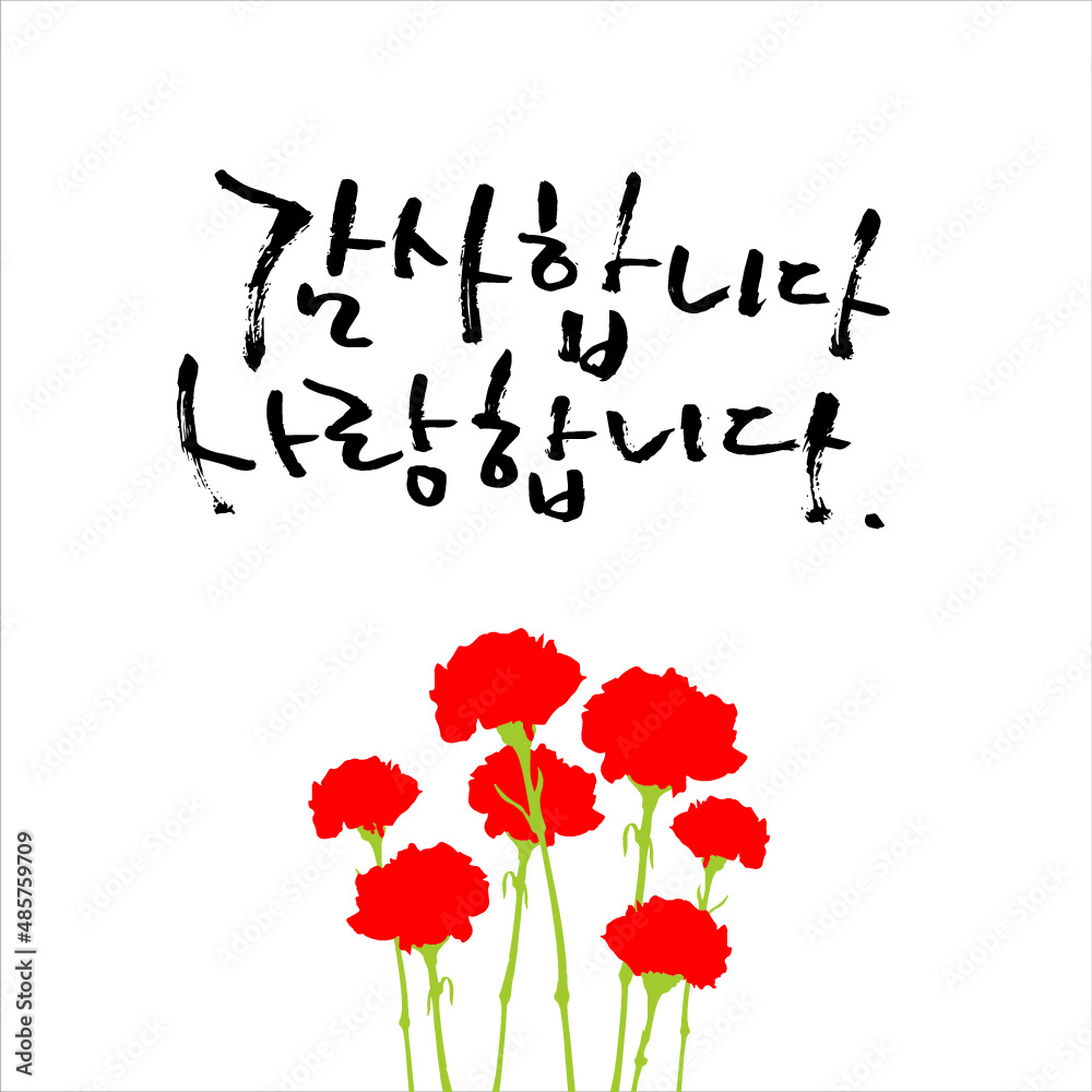Obraz premium 카네이션_감사합니다_캘리그라피