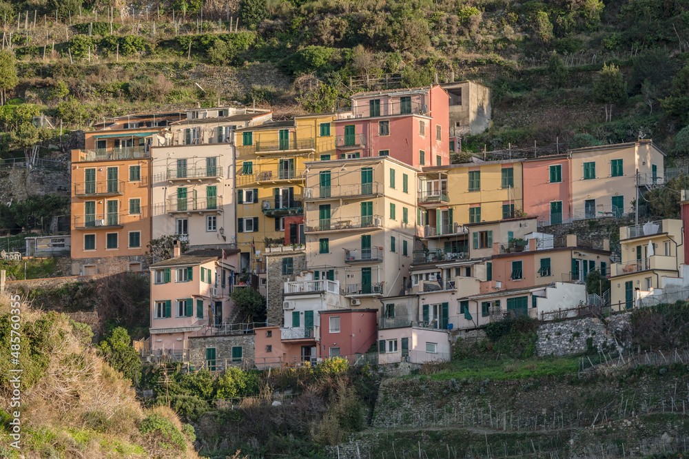picturesque houses on green slope  at Manarola, Italy