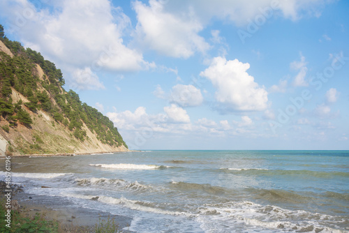 Cliff on the seashore. Coniferous trees grow on hill. Summer blue sky with white clouds