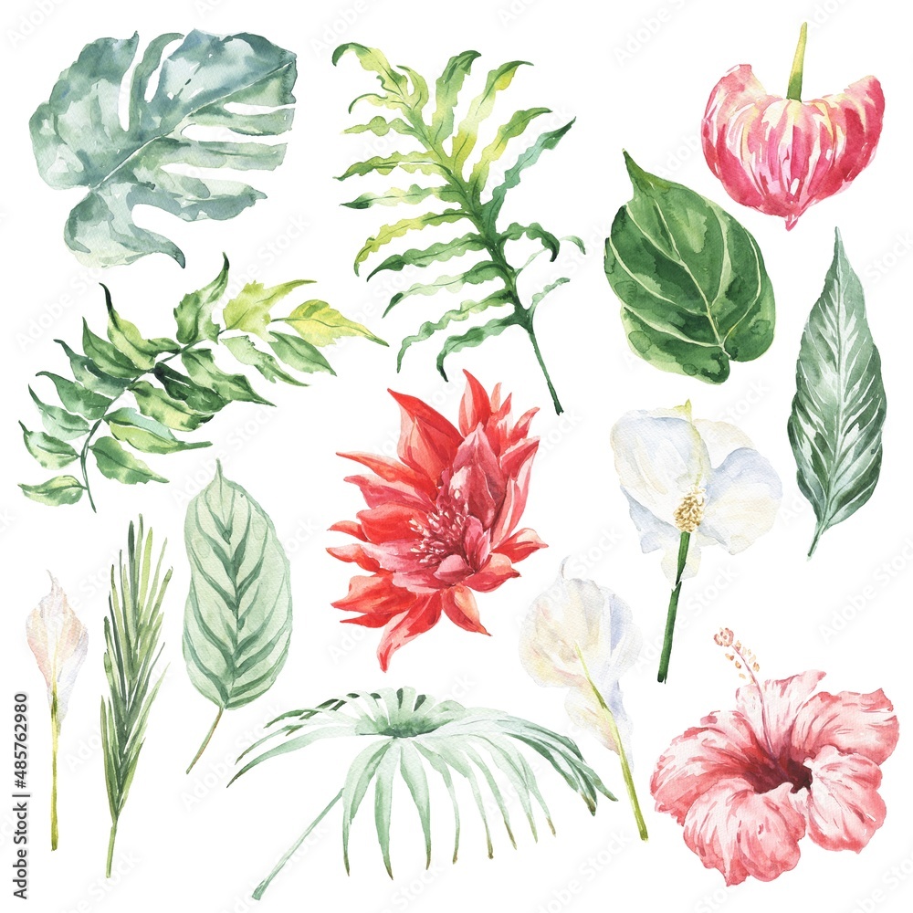 Watercolour set of tropical flowers and leaves on white . Watercolor illustration.