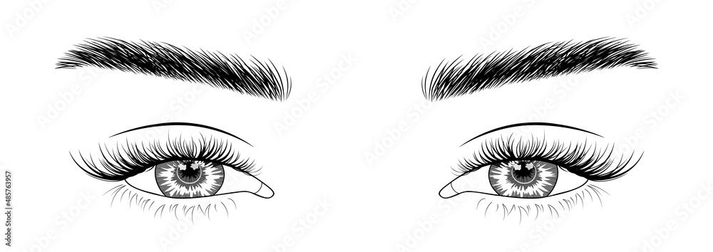 Woman's sexy makeup look with perfectly shaped eyebrows and lashes. Vector illustration for business visit card, typograph, print. Perfect salon look. Brows and lashes lamination