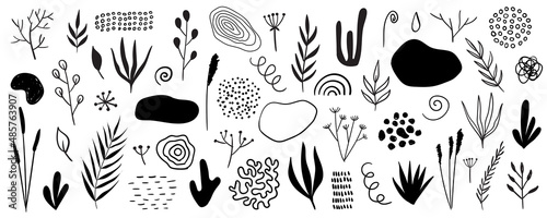 Organic shapes, plants, spots, lines, dots. Vector set of minimal trendy abstract hand drawn isolated elements for graphic design