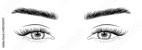 Woman's sexy makeup look with perfectly shaped eyebrows and lashes. Vector illustration for business visit card, typograph, print. Perfect salon look. Brows and lashes lamination