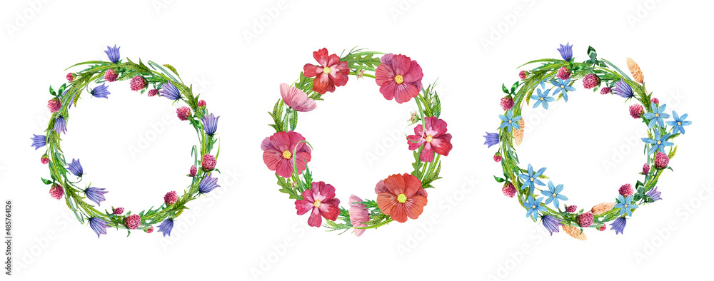 Wildflowers watercolor wreath set. Handpainted cosmos flowers, clover, campanula, ears and leaves.
