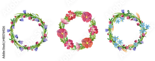 Wildflowers watercolor wreath set. Handpainted cosmos flowers, clover, campanula, ears and leaves.
