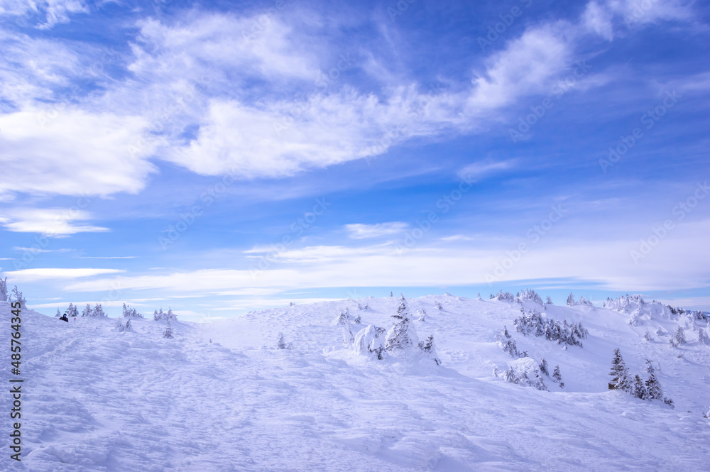 Ciucas mountains in winter, Romanian Carpathians. Fir trees and junipers full of frozen snow. Ciucas mountains in winter, Romanian Carpathians. Fir trees and junipers full of frozen snow.