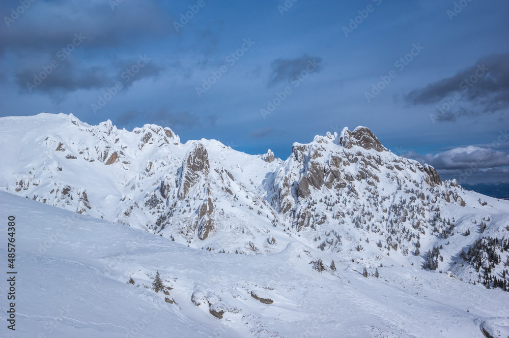 Ciucas mountains in winter, Romanian Carpathians. Fir trees and junipers full of frozen snow. 