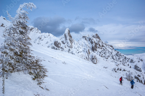 Ciucas mountains in winter, Romanian Carpathians. Fir trees and junipers full of frozen snow. There are hikers in the image. © Lucian Bolca