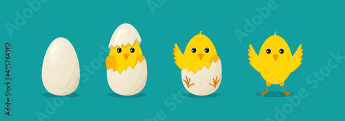Obraz na płótnie Chick from egg