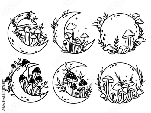 Set of mushrooms with moon. Collection of magical plants on grass. Witchcraft items. Mystical elements.Vector illustration of crescent moon on white background.