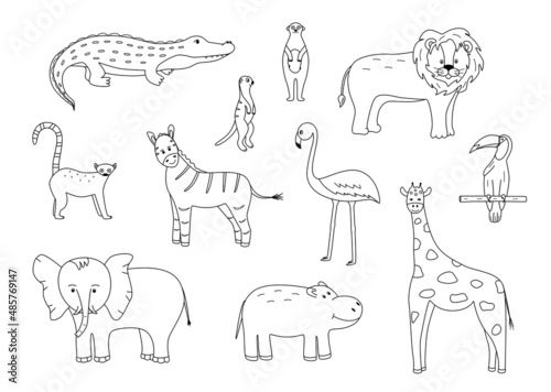 Fototapeta Naklejka Na Ścianę i Meble -  A set of drawings of cute cartoon African animals, vector illustration of a black and white outline of animals for coloring or logo.