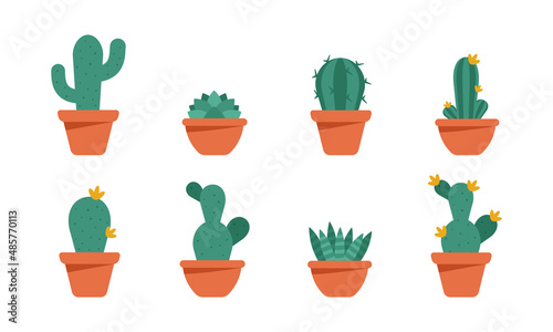 Set of cactus and succulents. Colored modern vector illustration in cartoon flat style.