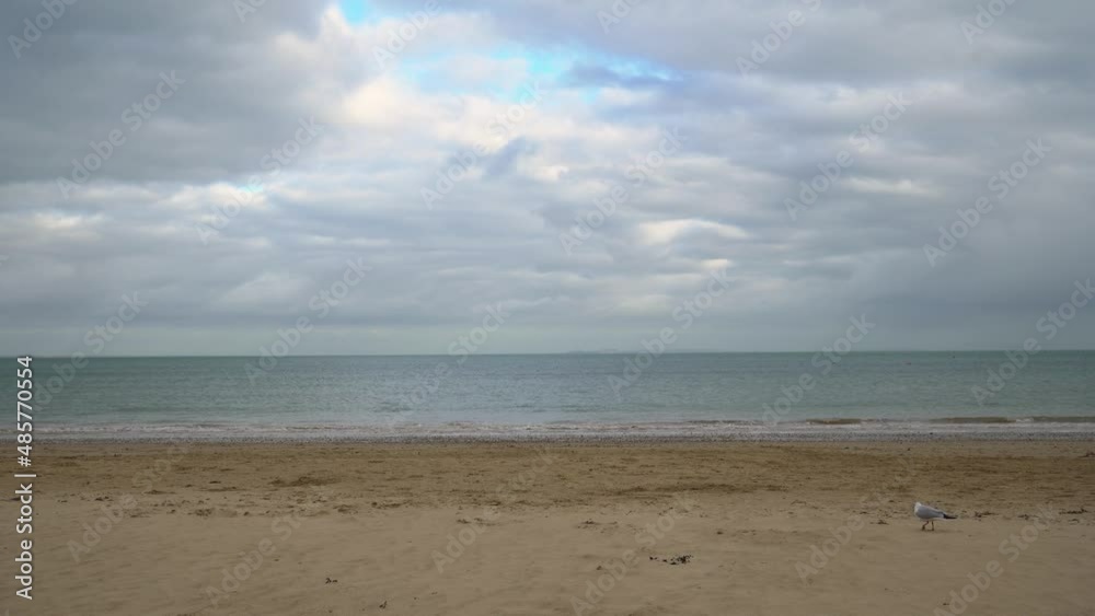 A seagull walks through the frame on UK beach. Sea and horizon in the distance. Turquoise teal sea and vibrant warm sand in foreground. No people in site. Peaceful beach 4k scene. A seagull walks through the frame on UK beach. Sea and horizon in the distance. Turquoise teal sea and vibrant warm sand in foreground. No people in site. Peaceful beach 4k scene.