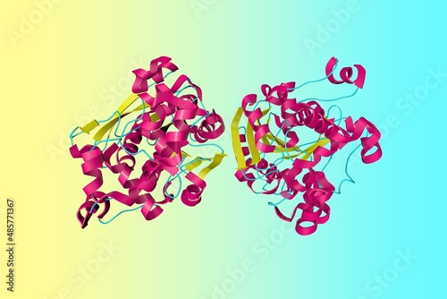 Fotografía Crystal structure of human gastric lipase
