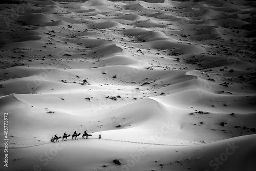 Camel caravan in Erg Chebbi Desert  Sahara Desert near Merzouga  Morocco  North Africa  Africa