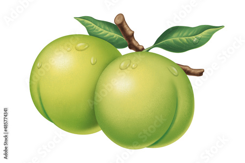 Juicy fresh water drops of plum with white background