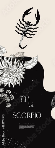Zodiac sign Scorpio. Black silhouette with white flowers. Vertical background with zodiac constellations.