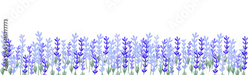 Lavender flowers on white banner 