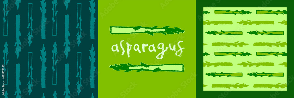 Vector asparagus pattern seamless. Pencil drawing texture. Green sparrow grass illustrations. Vegan restaurant banner, vegetarian ornament. Homemade vegetables. Label design for Asparagus officinalis.