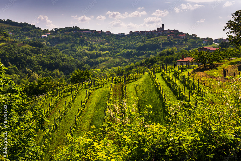 Vineyards and St Martin Church perched above the hill top town of Smartno in Goriska Brda, the wine region of Slovenia, Europe