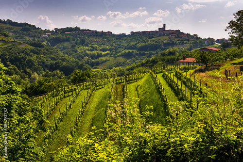 Vineyards and St Martin Church perched above the hill top town of Smartno in Goriska Brda  the wine region of Slovenia  Europe
