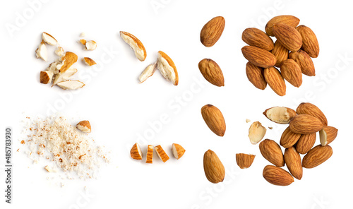 Collection of broken and whole almond nuts