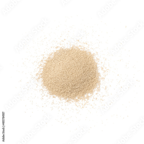 Dry and Raw Compressed Baking Yeast